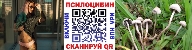 ссылка на мегу ссылка  Бугуруслан  Псилоцибиновые грибы мицелий 